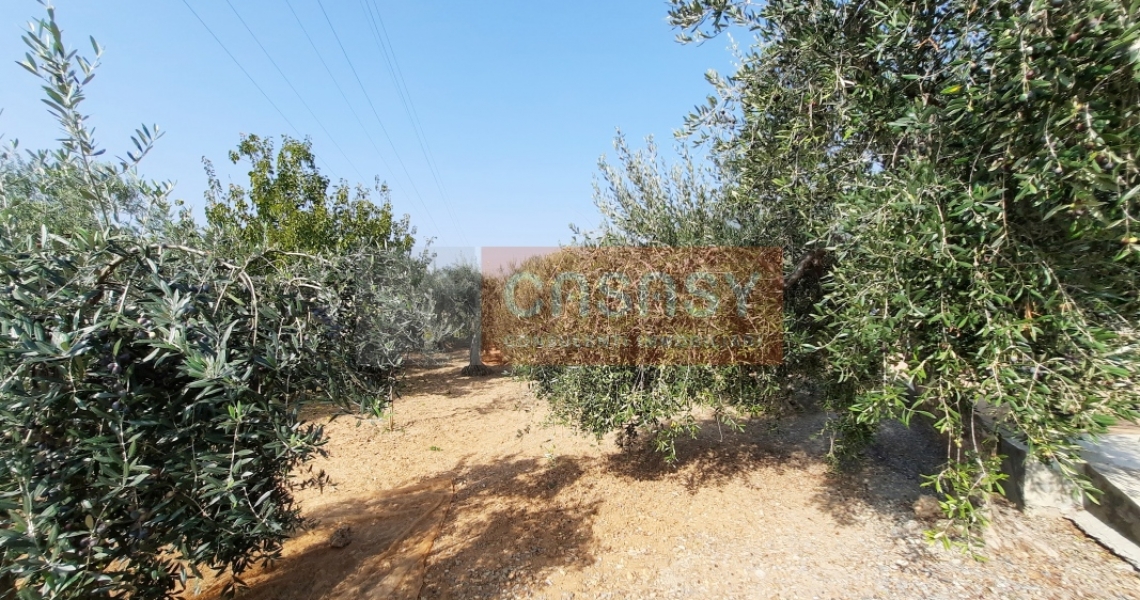 villa_in_vendita_a_Albenga12