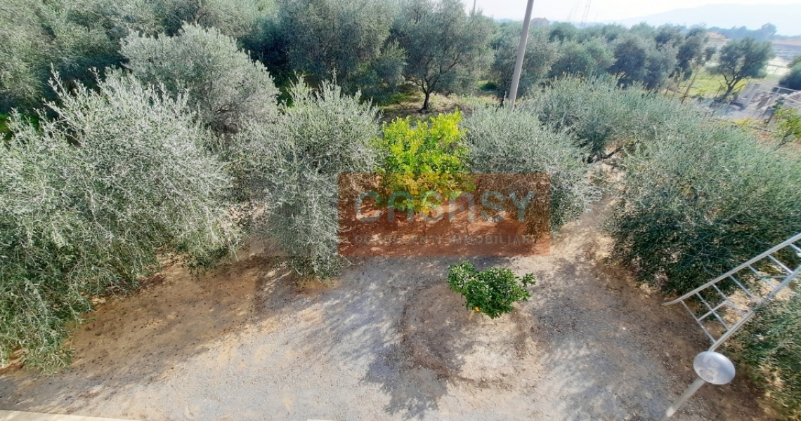 villa_in_vendita_a_Albenga9